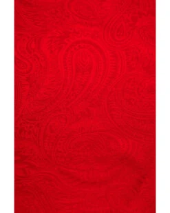Cody James Men's Red Silk Jacquard Scarf  -Cody James Fashion Hub 2000296738 600 P3
