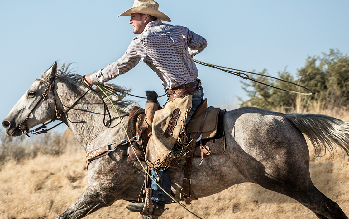 Cody James Fashion Hub -Cody James Fashion Hub cj5